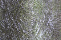 Park Broom fibreglass roof work